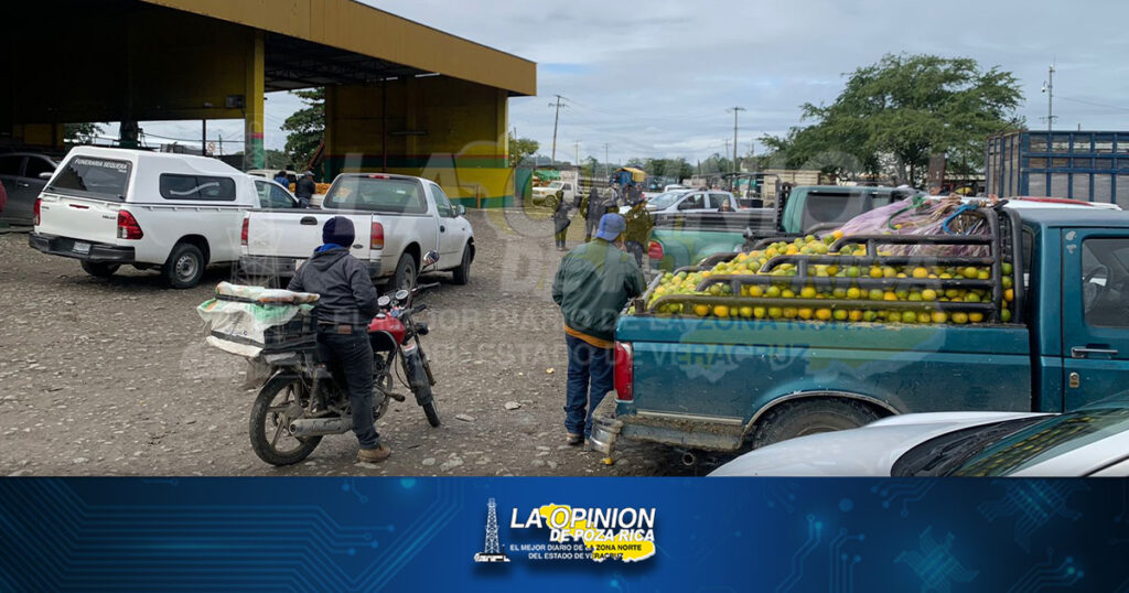 Presunto hallazgo de restos humanos en el Idolo