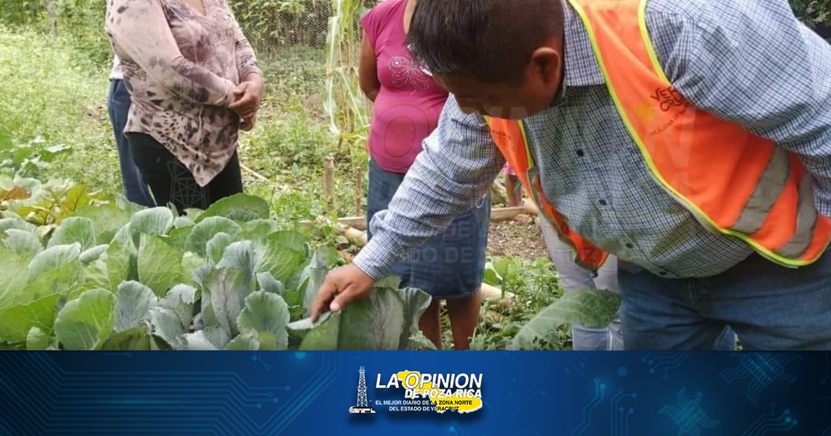 Impulsan la transición agroecológica del campo veracruzano