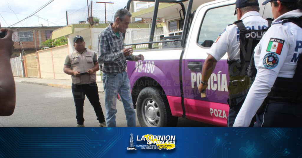 Vuela carnicero motorizado