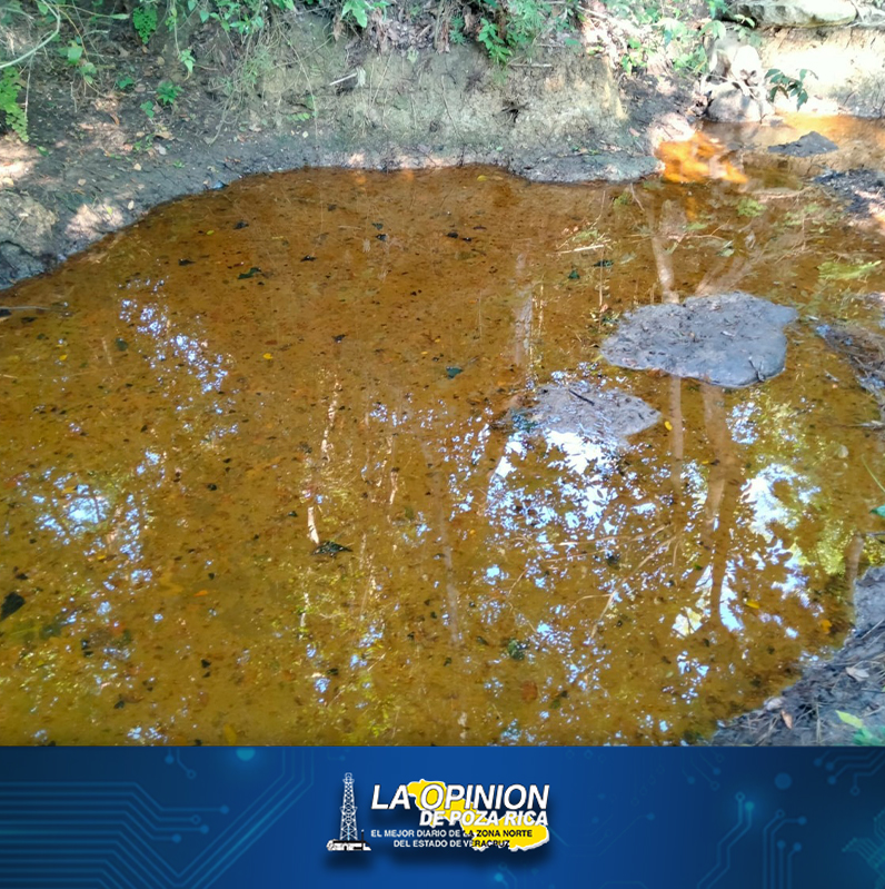 Confirman desastre ecológico