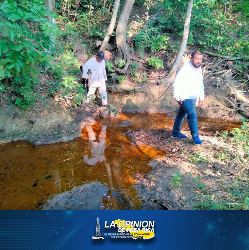 Confirman desastre ecológico