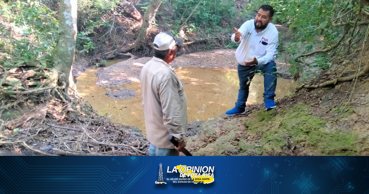 Confirman desastre ecológico