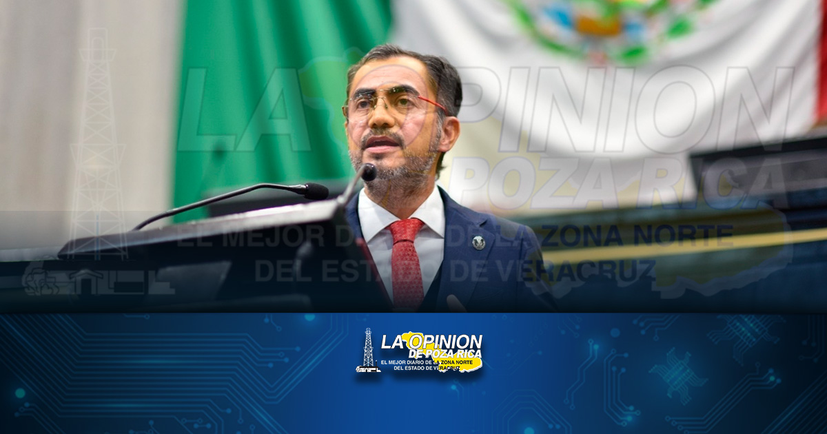 Servicio social contaría como trabajo: Diputado