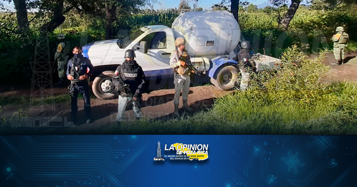 INFESTADOS DE HUACHIGAS