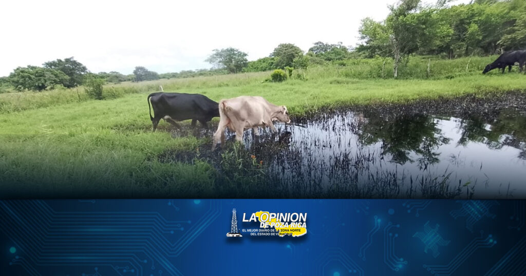 Evade PEMEX responsabilidad