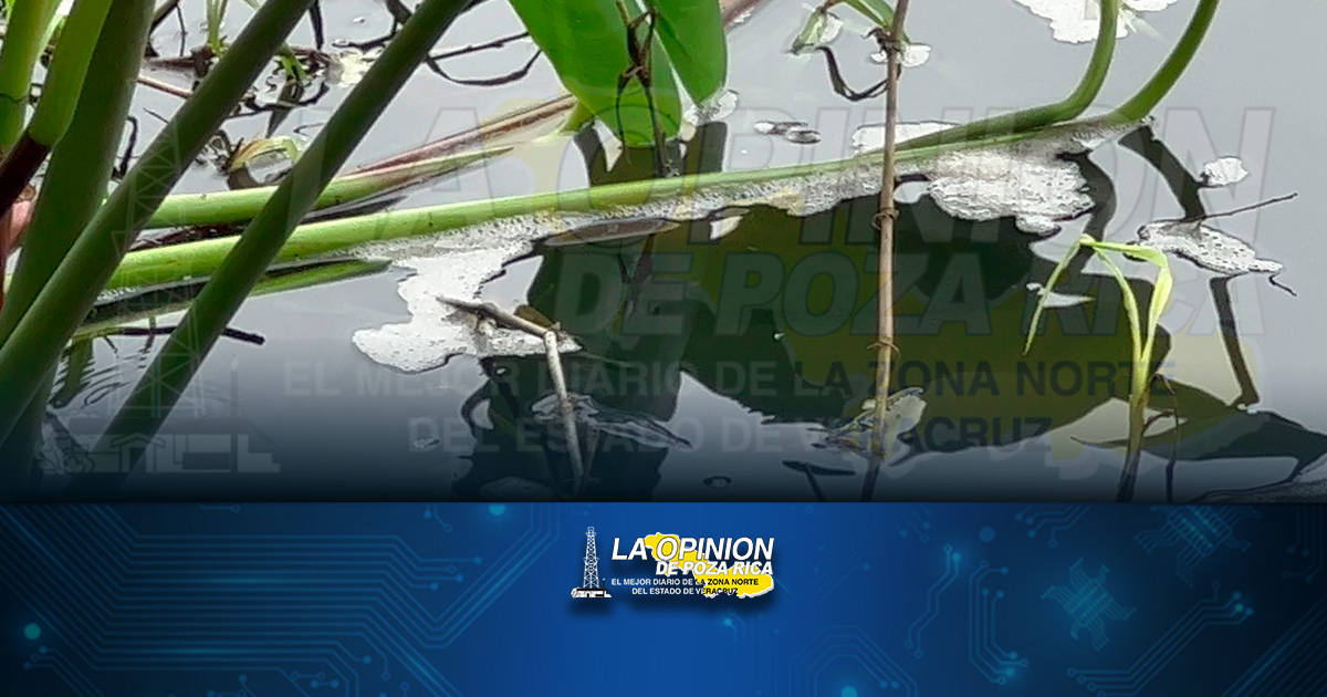 Alta mortandad de peces en el Pantepec