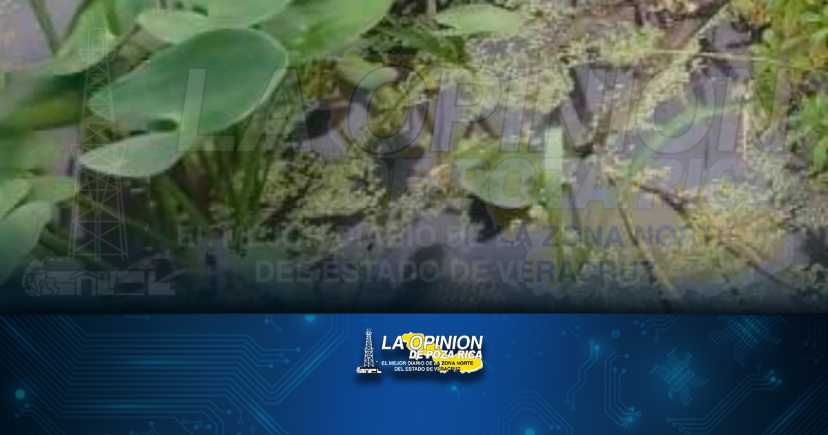 Desechos de IQC acaban con la flora y fauna