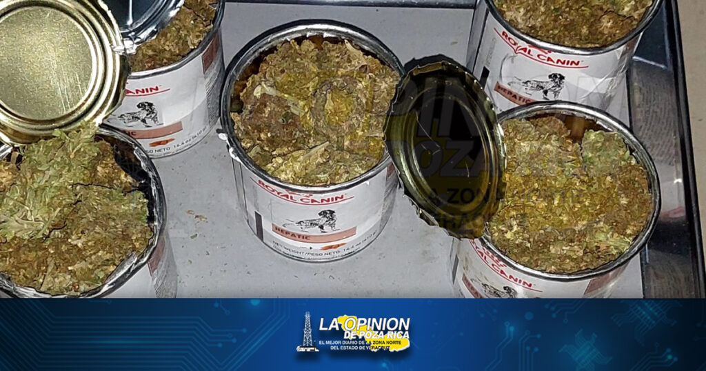 Asegura Ejercito Méxicano camión cargado de droga