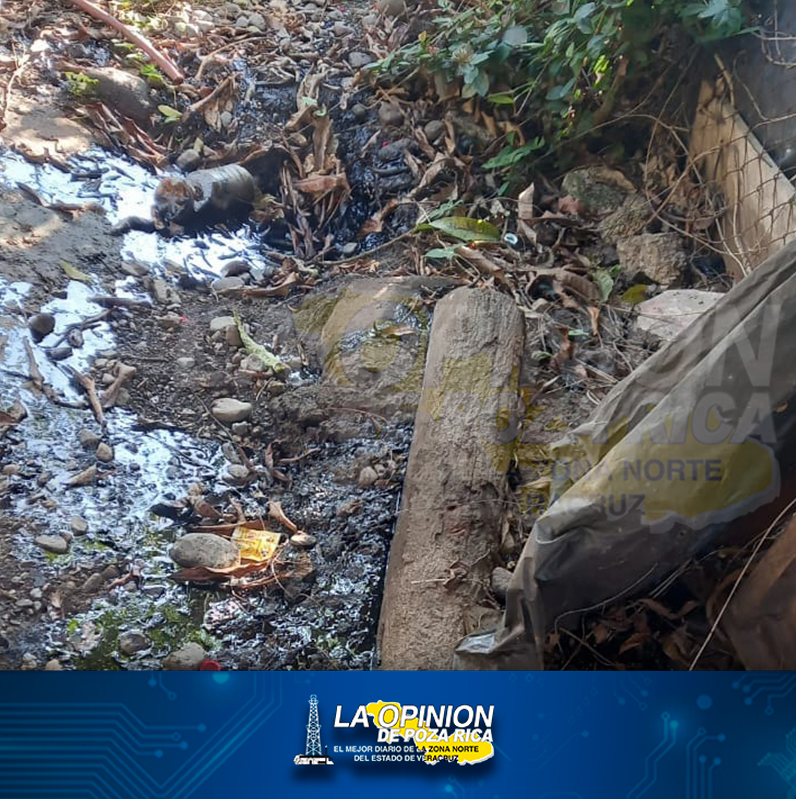 Fuga de aceite contamina La Aguilera