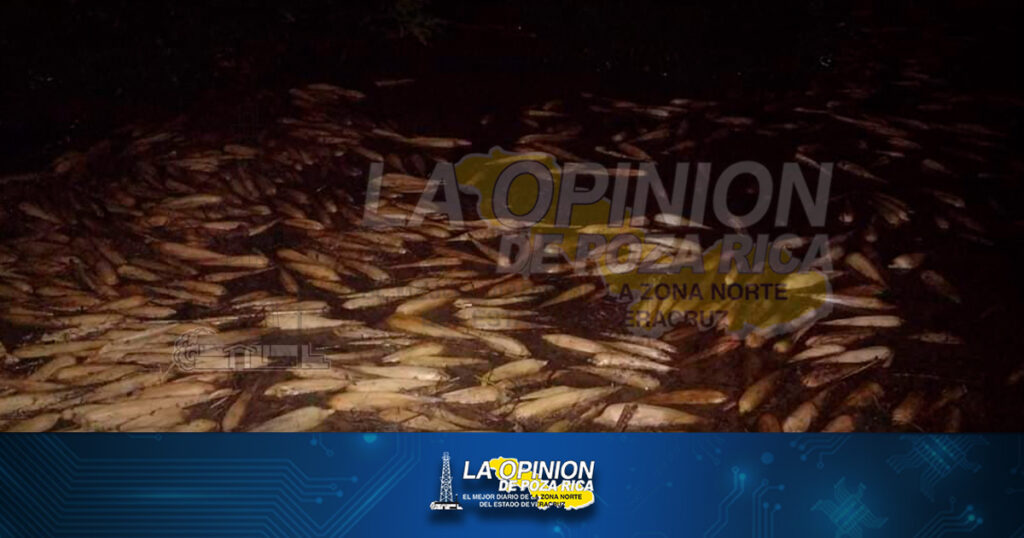 Se inundan familias por paso del frente frío #12, los agarró durmiendo