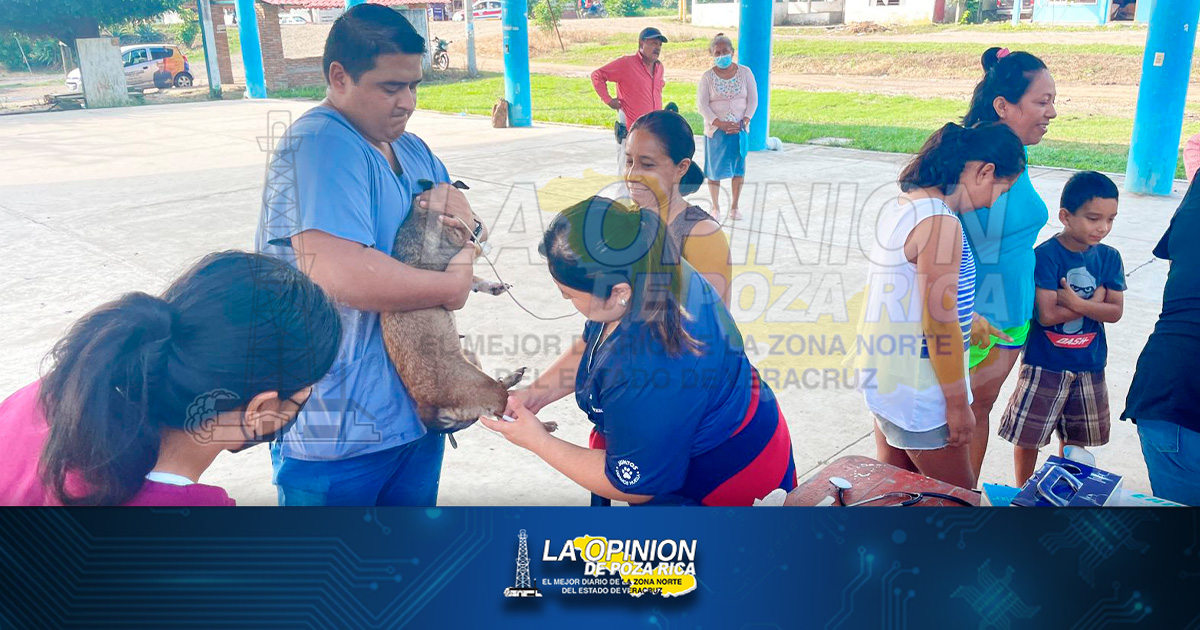 Llevan salud animal en ruta de Los Kilómetros