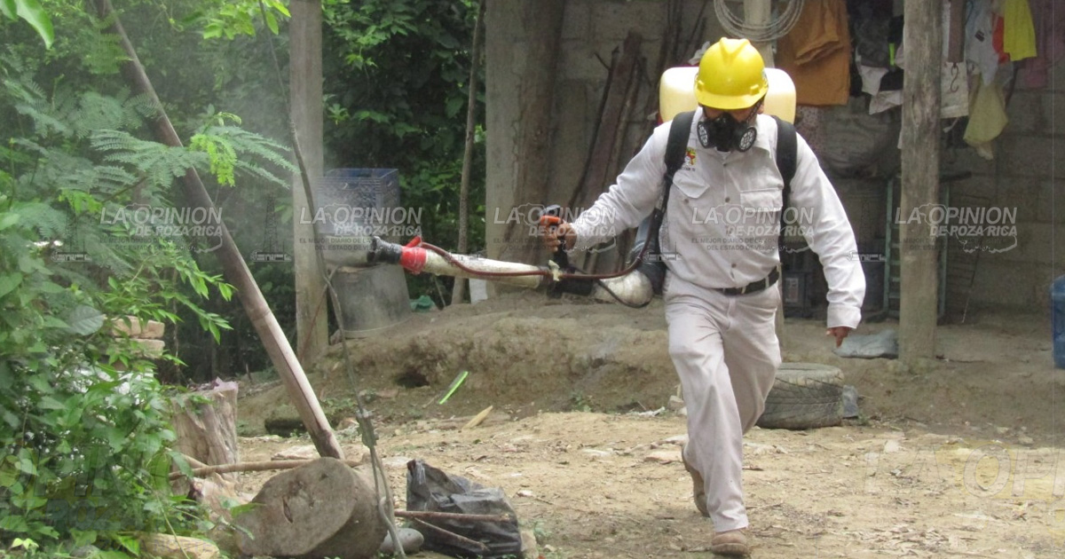 Temen brote temprano de dengue