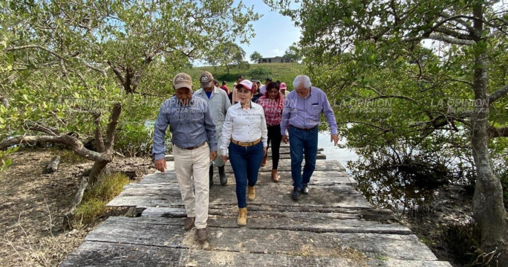 Siguen las buenas noticias para Tamiahua