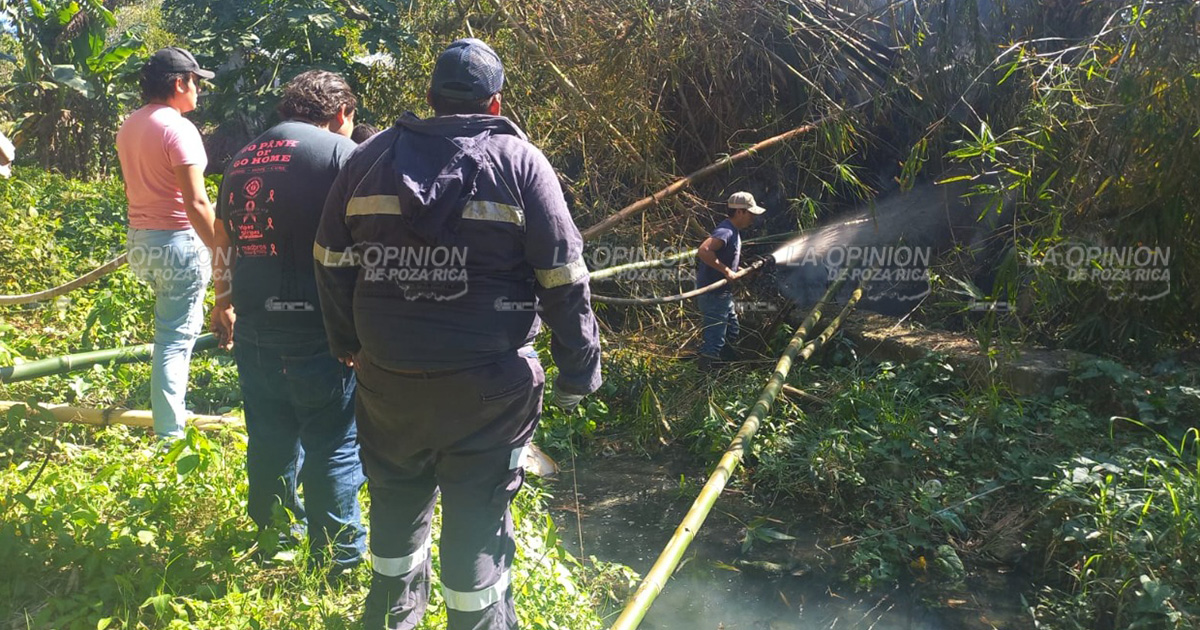 ¡Alarmante incendio en un carrizal!