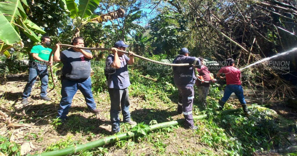 ¡Alarmante incendio en un carrizal!