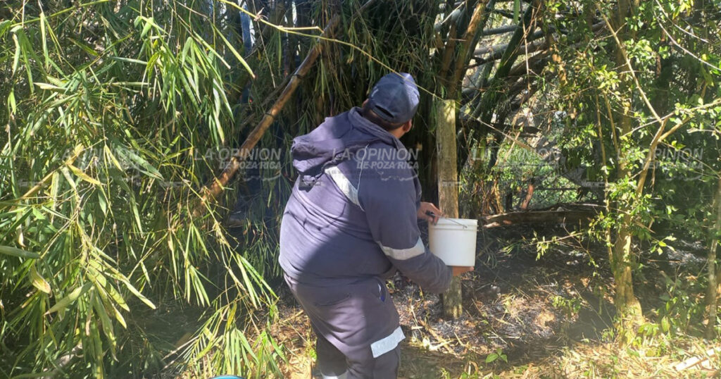 ¡Alarmante incendio en un carrizal!