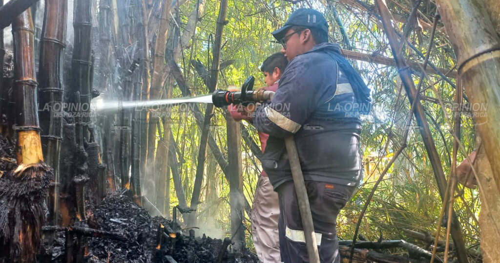 ¡Alarmante incendio en un carrizal!