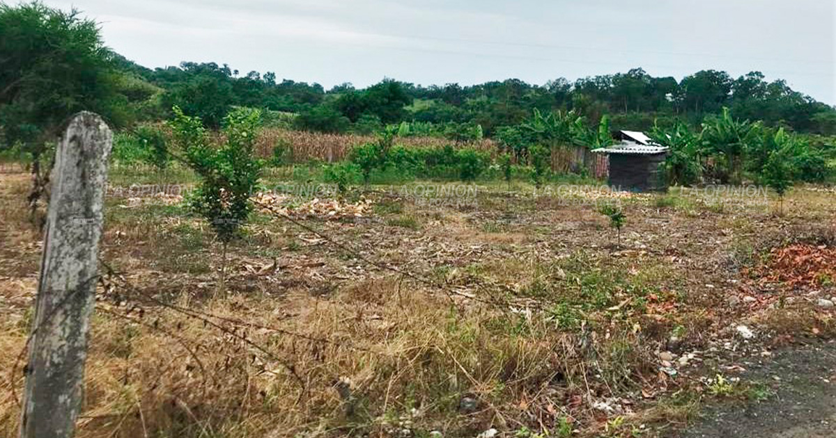 El campo, en situación de abandono