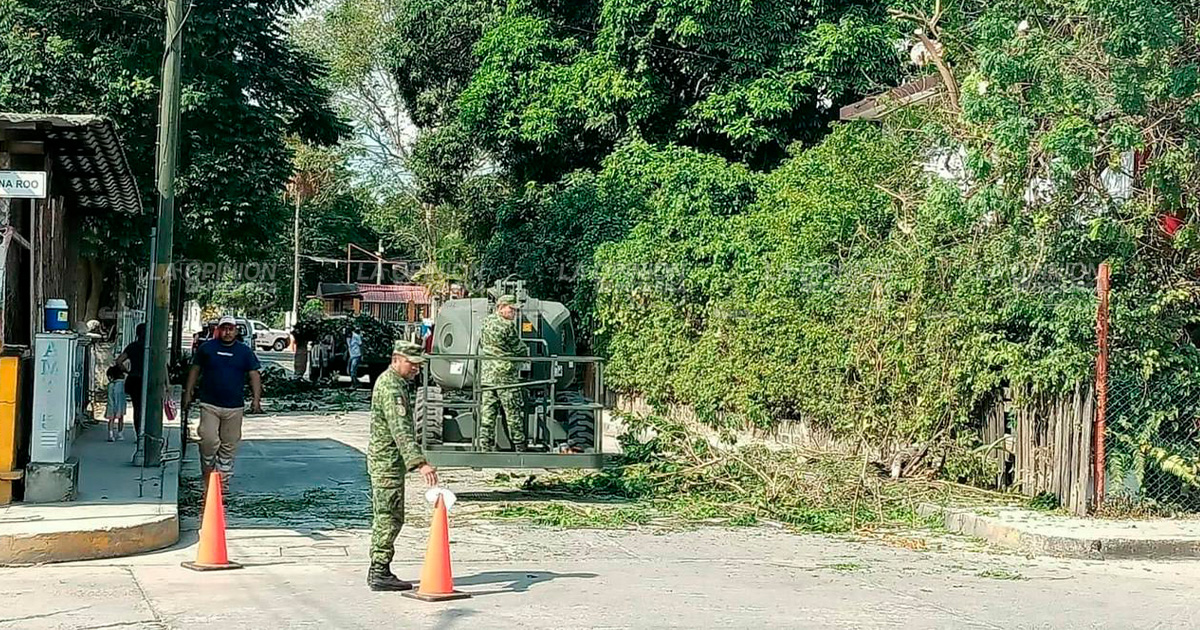 Previenen accidentes por caída de árboles y ramas