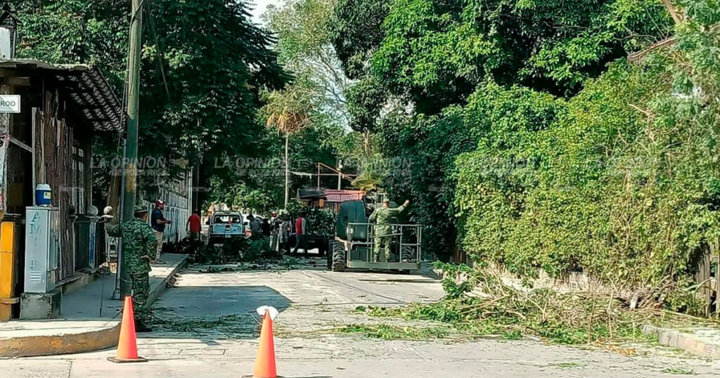 Previenen accidentes por caída de árboles y ramas