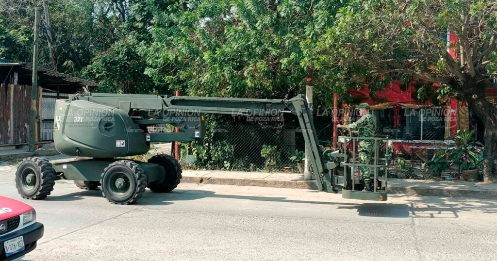Previenen accidentes por caída de árboles y ramas