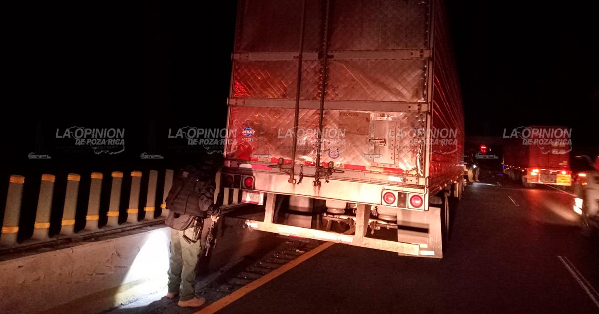 Hasta los camarones se roban en Veracruz