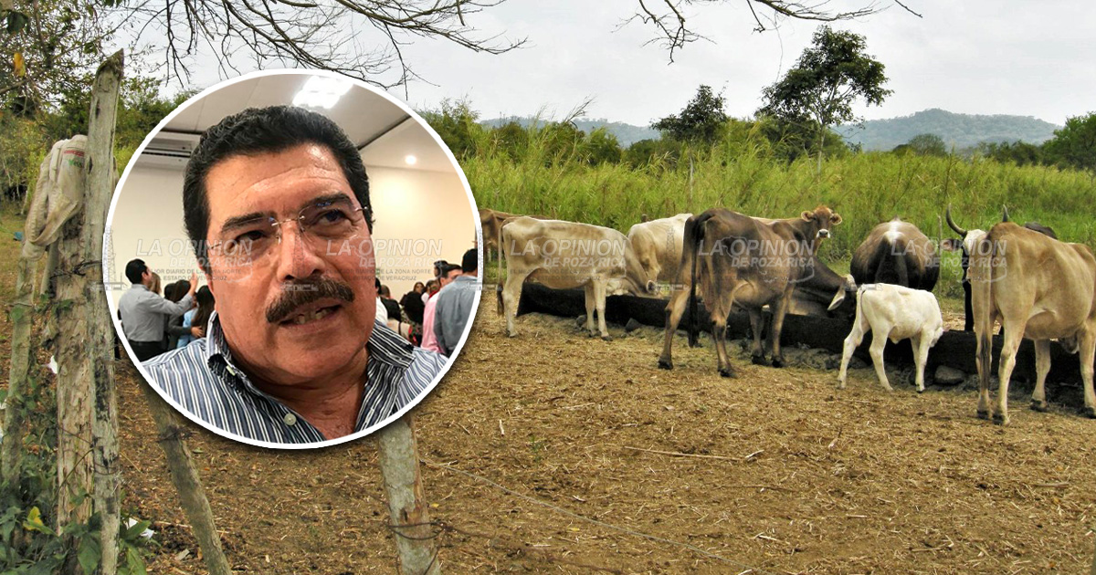 Pese a estiajes, crece inventario ganadero