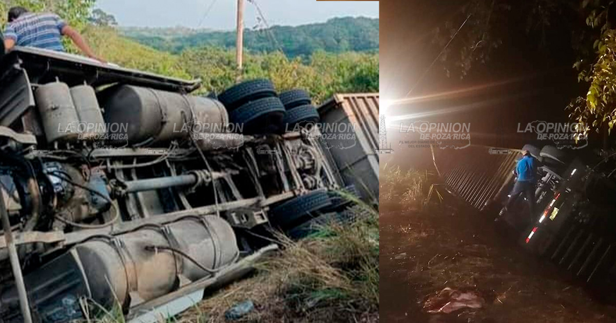 ¡Vuelca tráiler con ganado!