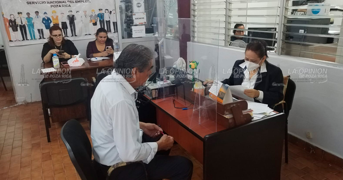 Ofrecen empleo para cosecha de champinón en Guanajuato