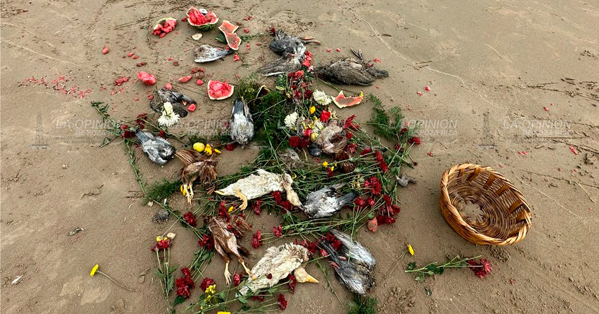 Brujería en la playa