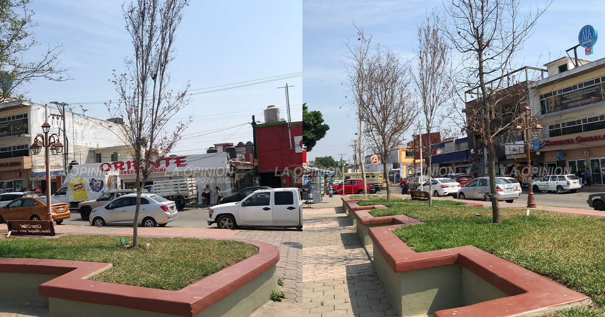 El parque, convertido en plancha
