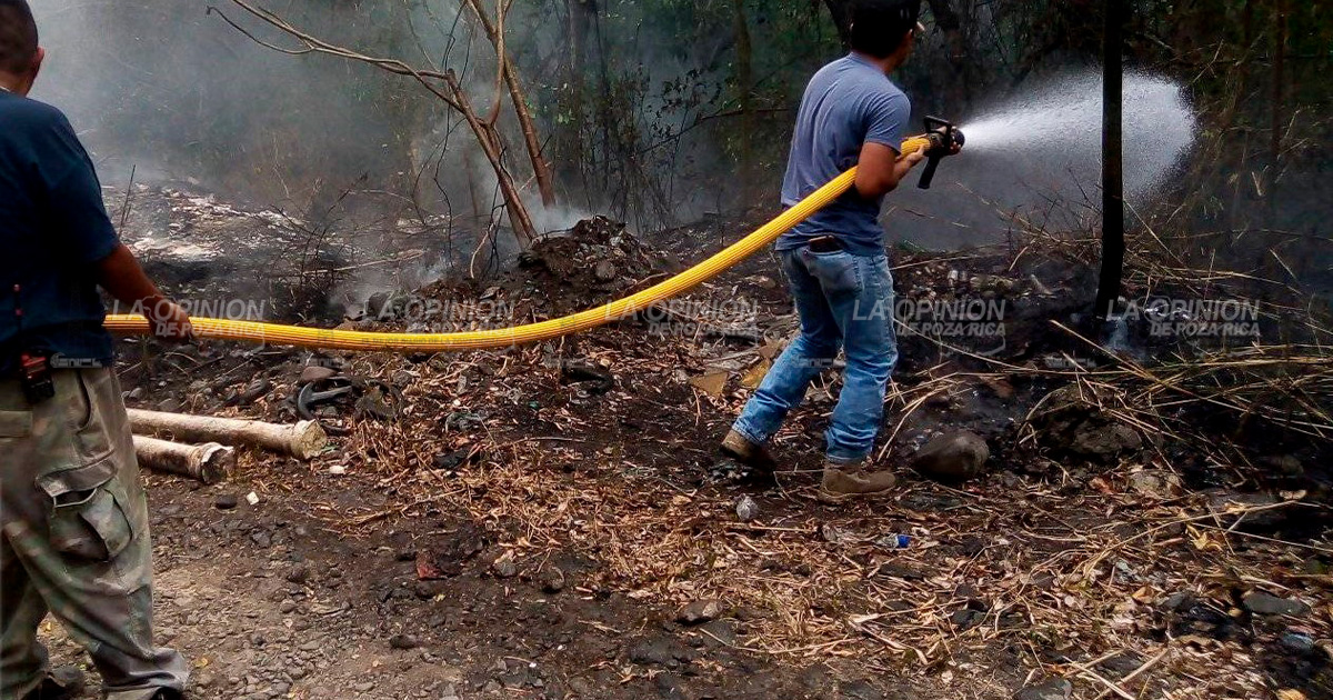 Incendios propician alarma