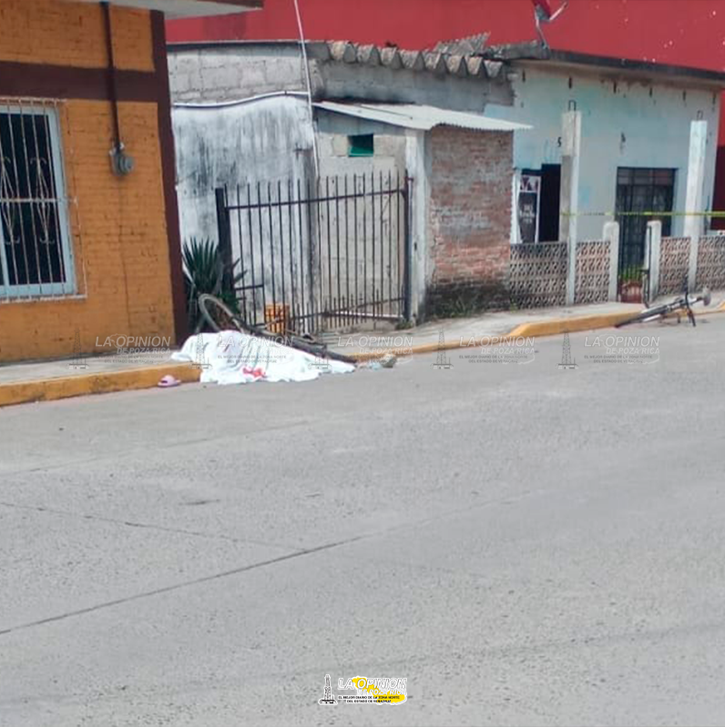 Apuñaladas matan a una niña de 13 años