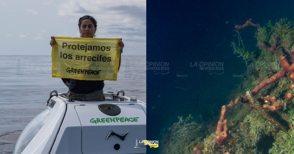 Gasoducto Tuxpan pondrá en riesgo arrecifes de cuatro municipios: Greenpeace México