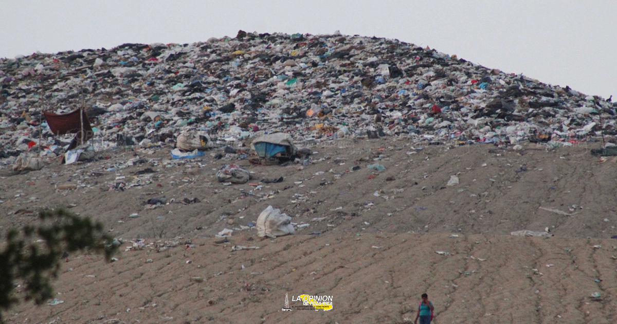 Políticos quieren rascar millonada de la basura