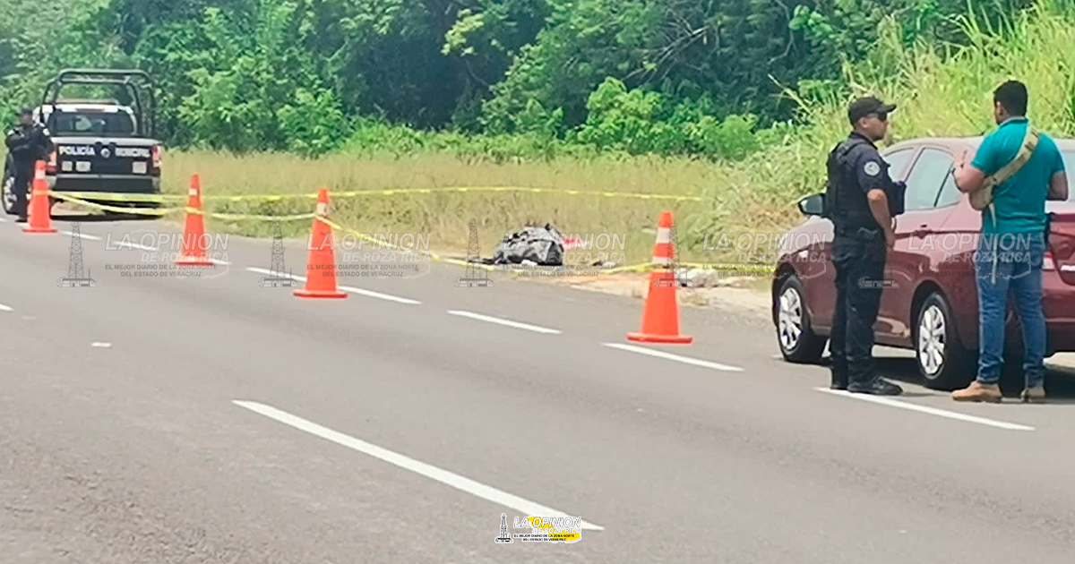 Arrojan bolsas con restos humanos en carretera del sur de Veracruz