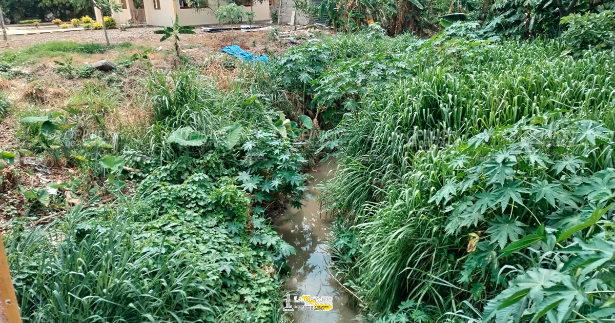 Implementa la PMA programa de empleo temporal