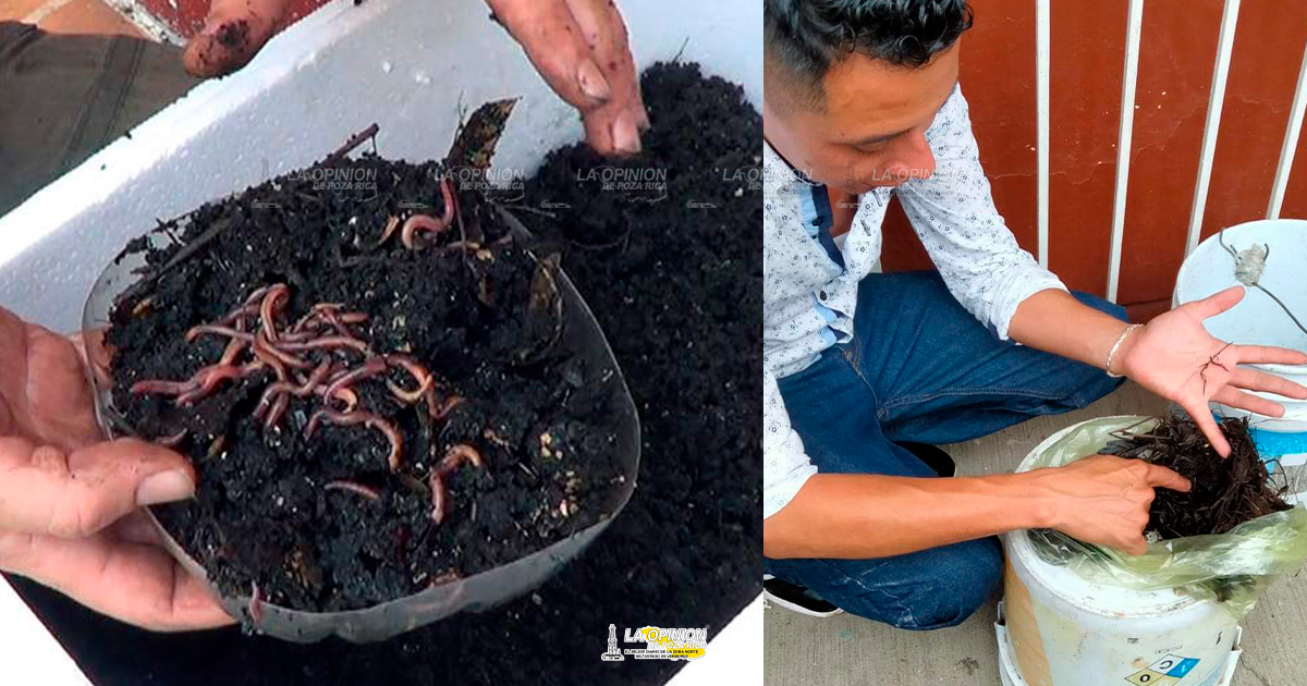 Alumnos y productores le apuestan a la producción de la Lombricompuesta
