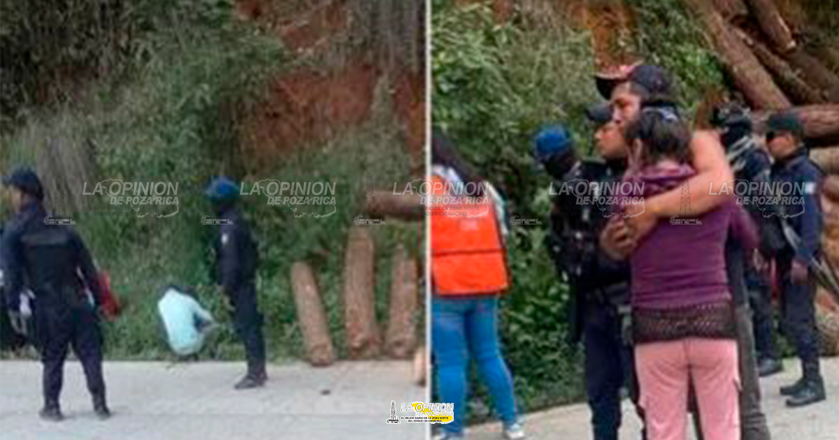 Hombre muere<br>aplastado por un tronco