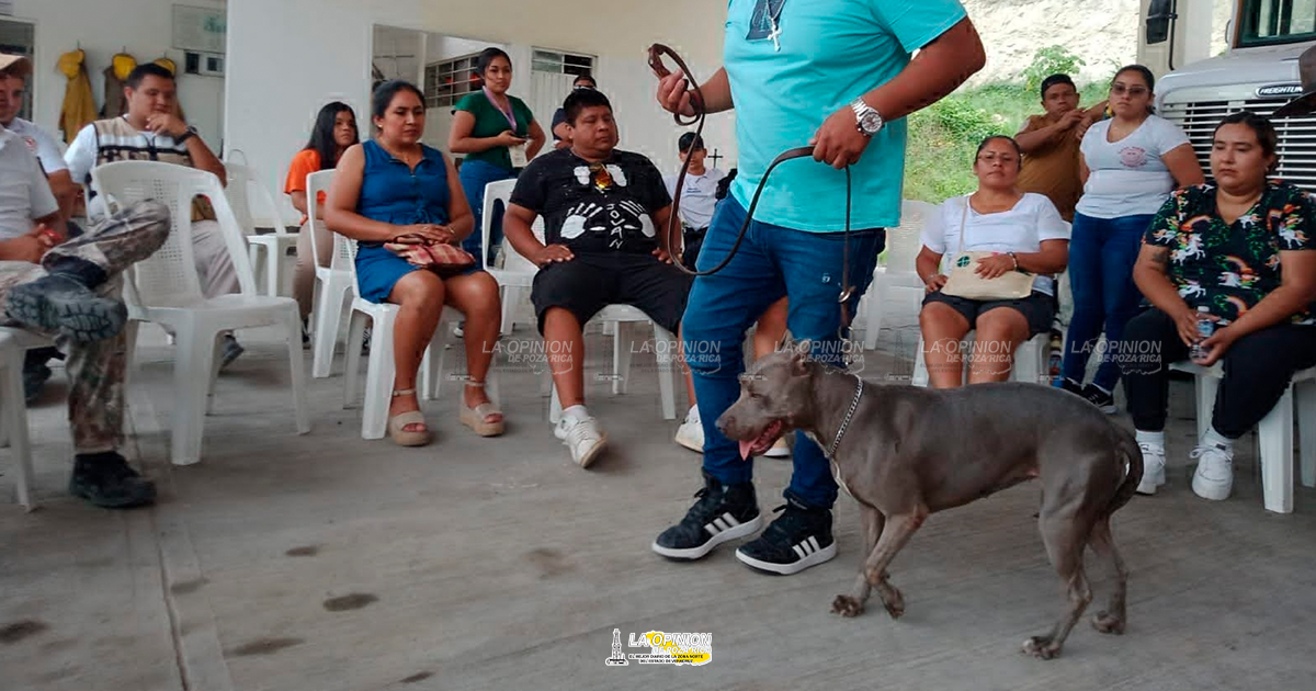 Capacitan en el manejo de caninos