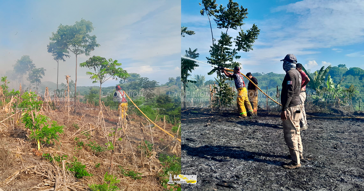 fuego consume dos hectáreas de pastizal