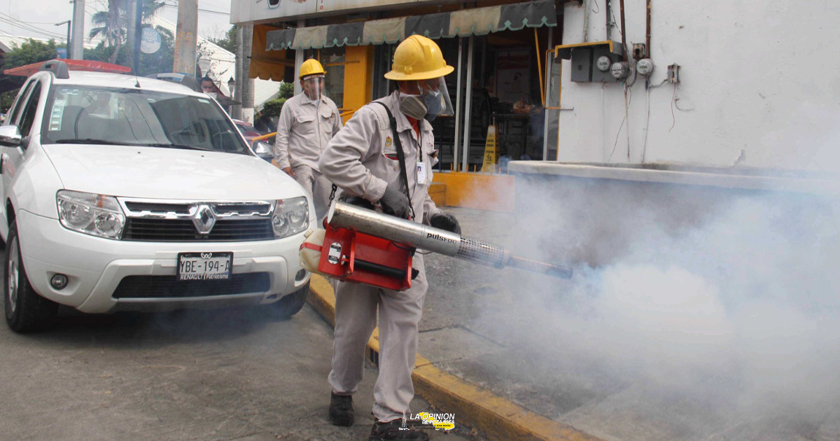 Poza Rica baja al 4º lugar en casos de dengue