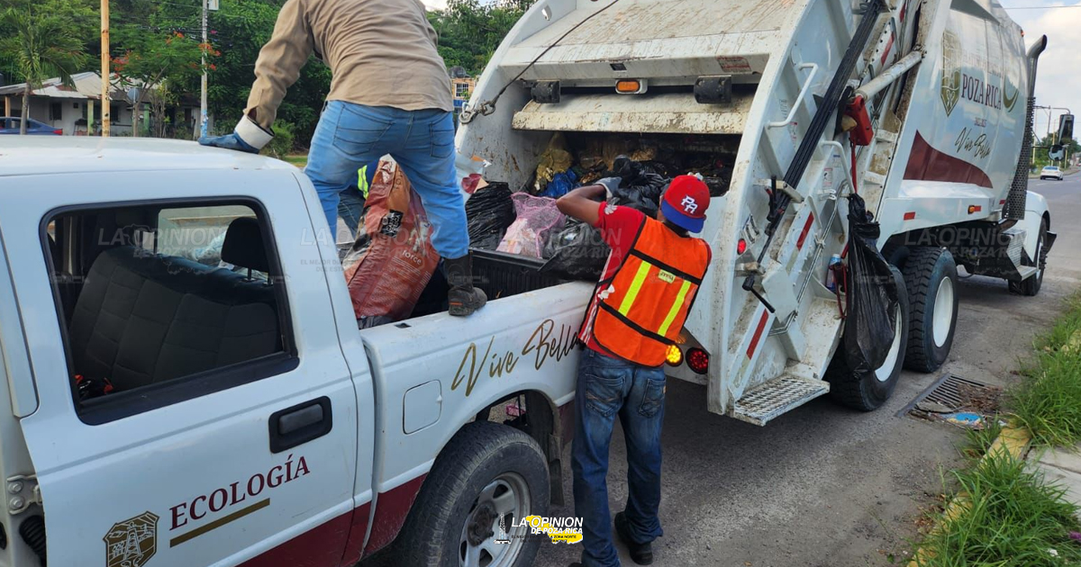 No alcahuetean con la recolección