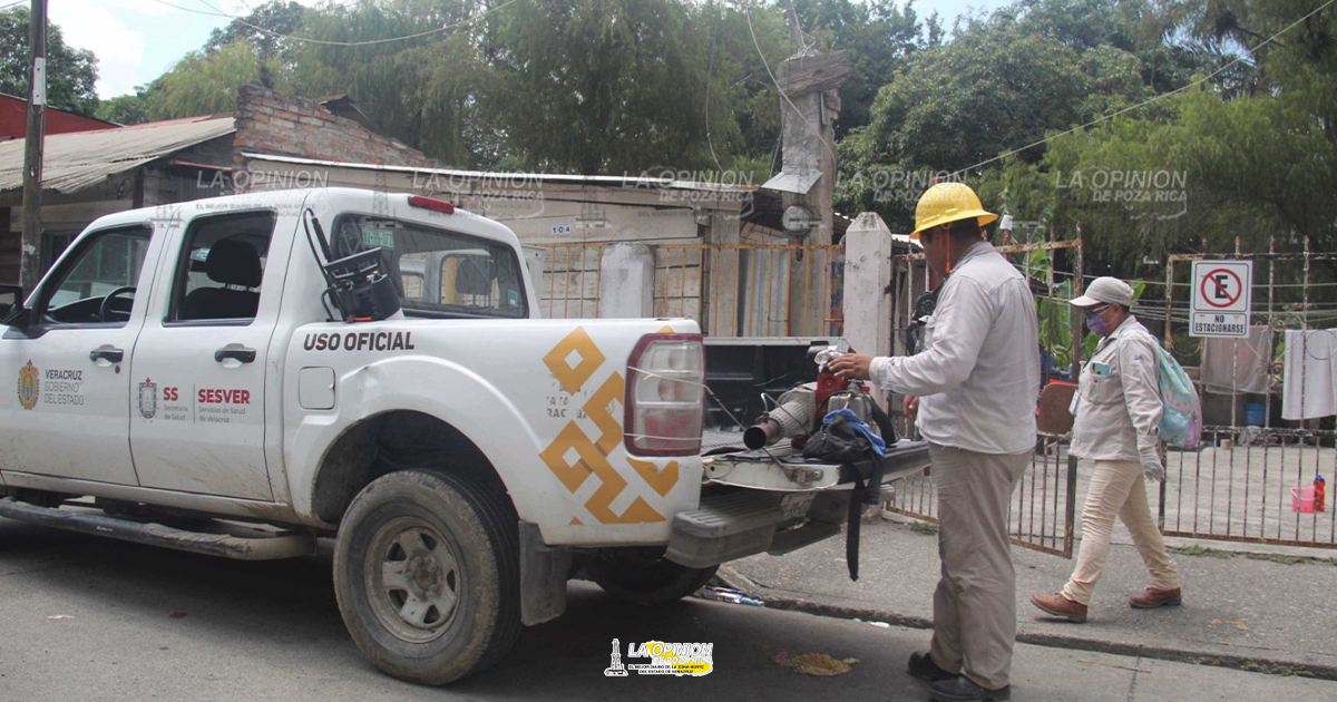 Previenen enfermedades transmitidas por mosquitos