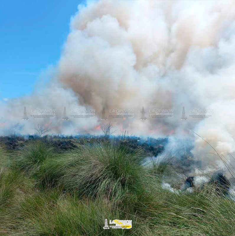 Incendio consume 10 hectáreas depastizales en la Barra de Cazones.