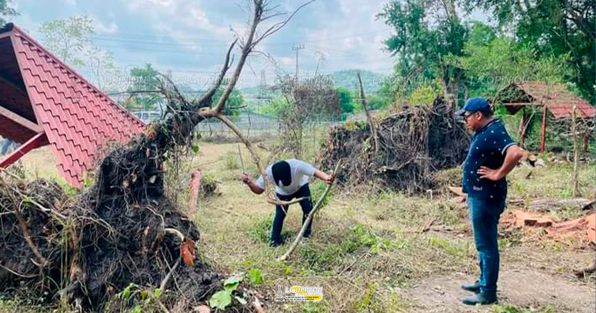 Rescatan Parque Ecológico de Palma Sola
