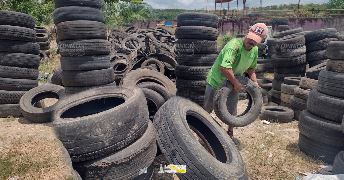 No más llantas en los patios de las viviendas