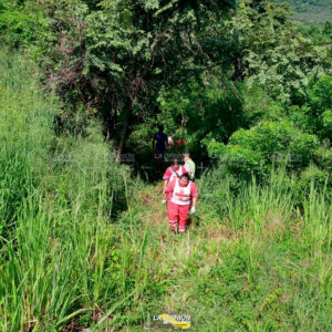Dos heridos en volcadura de tráiler en Palma Sola