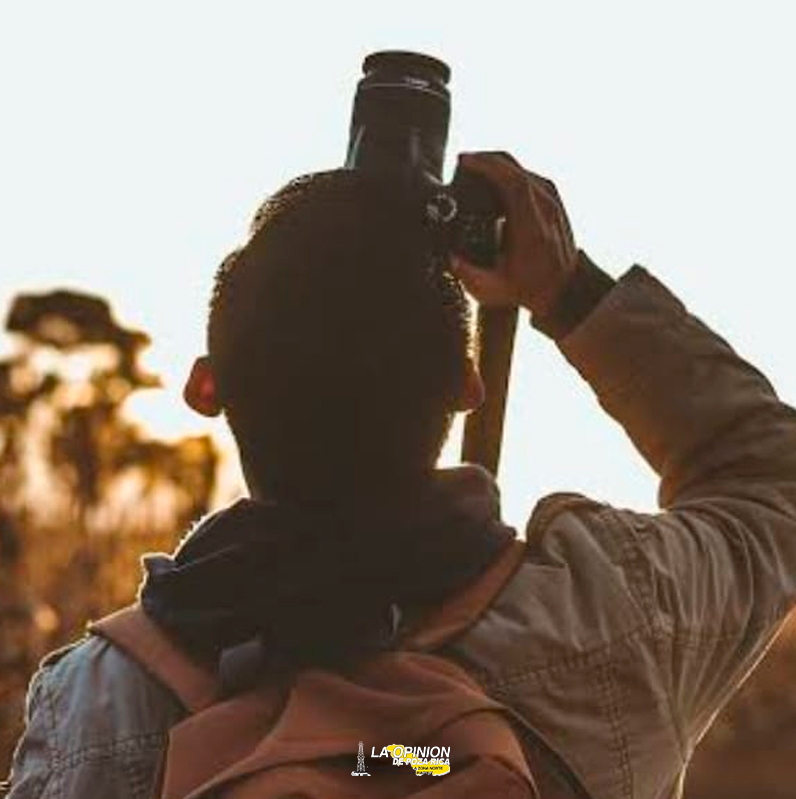 Entregarán premios del concurso municipal Fotografía Científica 2023