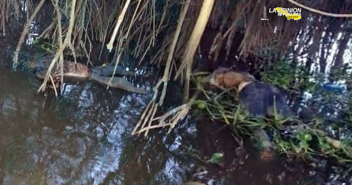 Hallan dos cuerpos sin vida en los límites de Tabasco y Veracruz
